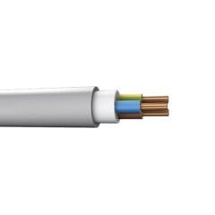2*4 mm NYM Antigron Kablo (1 metre)